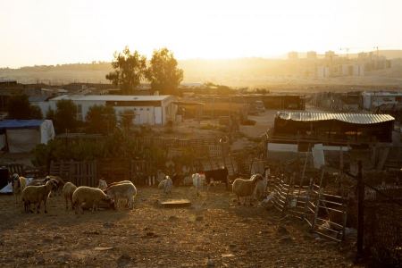 مركز عدالة يرفض إيداع مخططات اللجنة اللوائية الخاصة بالنقب